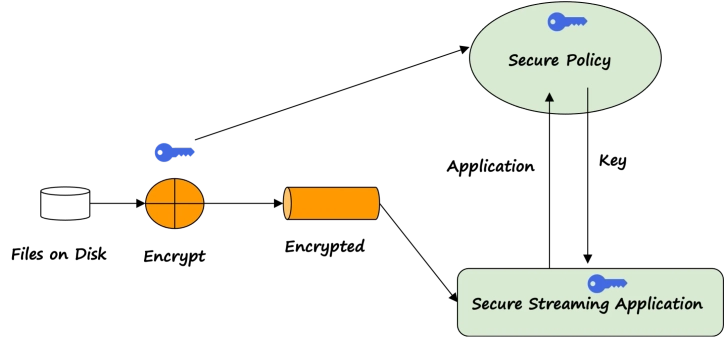 Distribute products that contain AI models and private algorithms without compromising their intellectual property with stream processing of data assets